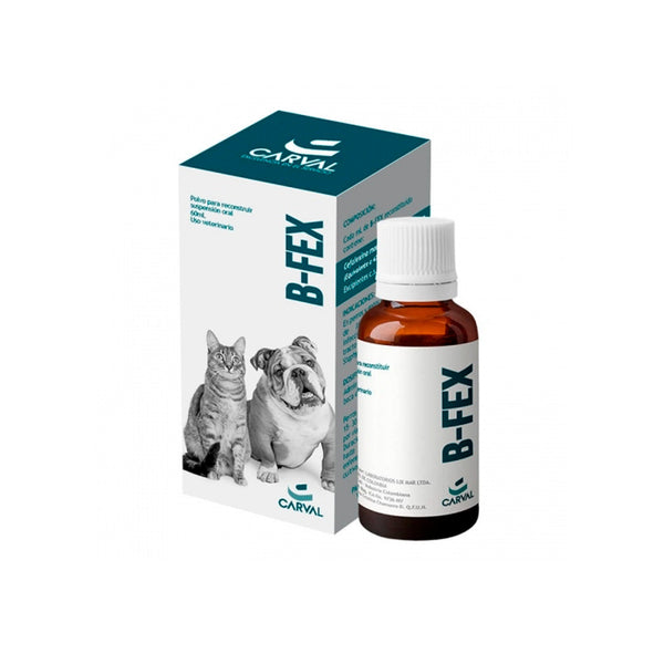 Antibiotico Mixto B-Fex  60 Ml|Medicamentos perros y gatos|Medicamentos pet