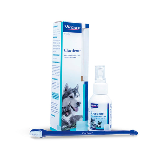 Clordent Spray FCO x 120 ML|Medicamentos perros y gatos|Medicamentos pet