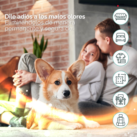 Fragancias neutralizadoras para hogares con mascotas