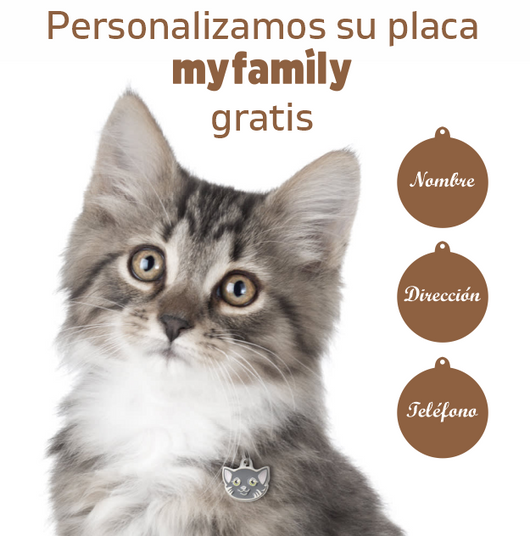 Placas ID personalizadas para gatos