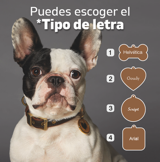 Placas personalizadas para tu perro
